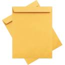 Torba Zarf Formula 26x35 Cm 100 Gr