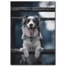 Sevimli Köpek Temalı Kanvas Tablo