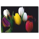 Renkli Laleler Temalı Kanvas Tablo