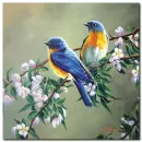 Küçük Kuşlar Yağlı Boya Kanvas Tablo