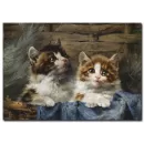 Sevimli Kedicikler Yağlı Boya Tablo