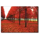 Kırmızı Yaprak ve Ağaçlar Temalı kanvas Tablo