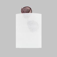 Polietilen Şilte Torba 10x15 cm