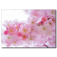 Bahar Çiçekleri Kanvas Tablo