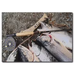Somon Balığı Görselli Kanvas Tablo