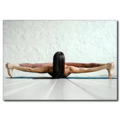Esnek Vücutlu Jimnastikçi Kadın Kanvas Tablo