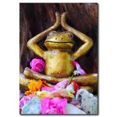 Yogacı Kurbağa Temalı Kanvas Tablo