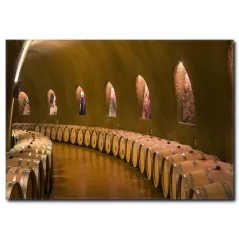 Şarap Mahzeni ve Şarap Fıçıları Kanvas Tablo
