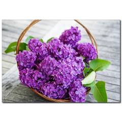Mor Menekşe Kanvas Tablo