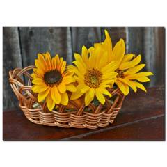 Sepette Günebakan Kanvas Tablo