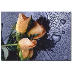 Islak Zemin Üzerine Gül Detaylı Kanvas Tablo