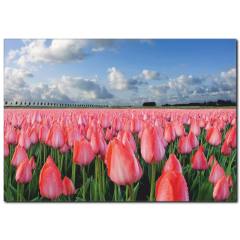 Lale Bahçesi Temalı Kanvas Tablo