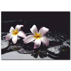 Huzur Çiçeği Temalı Kanvas Tablo