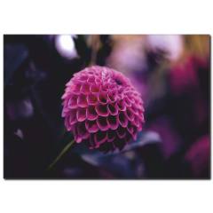 Fuşya Çiçek Temalı Kanvas Tablo