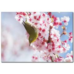 Çiçeğe Konan Kuş Temalı Kanvas Tablo