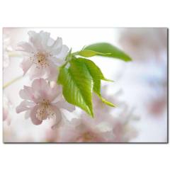 Sade Güzellik Temalı Kanvas Tablo