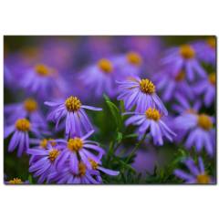 Mor Çiçekler Temalı Kanvas Tablo