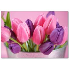 Mor Ve Pembenin Dansı Temalı Kanvas Tablo