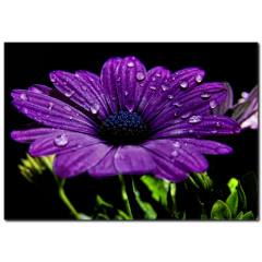Damlacık Detaylı Mor Çiçek Kanvas Tablo