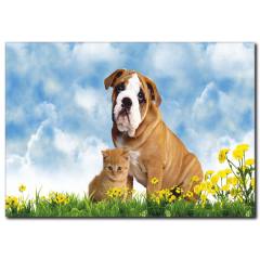 Kedi Köpek Dostluğu Kanvas Tablo