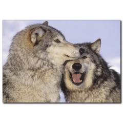 Sevimli Kurtlar Temalı Kanvas Tablo