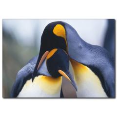 Penguen Temalı Kanvas Tablo