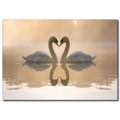 Kuğu Sevgisi Temalı Kanvas Tablo