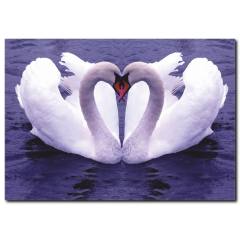 Kuğu Temalı Kanvas Tablo