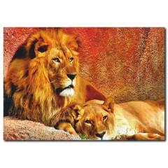 Aslan Temalı Kanvas Tablo