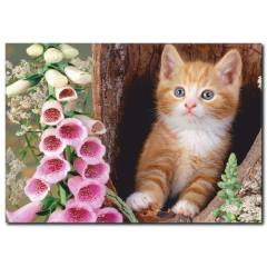 Ağaçtaki Yavru Kedi Temalı Kanvas Tablo