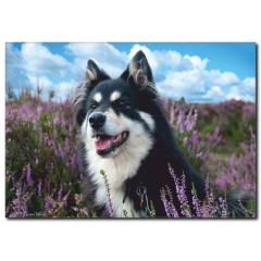 Asil Köpek Temalı Kanvas Tablo