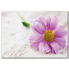 Lila Çiçek Temalı Kanvas Tablo