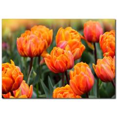 Turuncu Çiçek Temalı Kanvas Tablo
