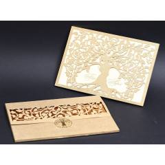 Alyans Davetiye 2017 