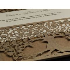 Alyans Davetiye 2017 