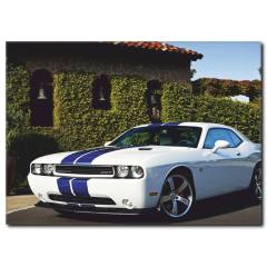 Beyaz Klasik Araba Tablo CC1032