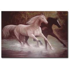 Siyah Beyaz At Yağlı Boya Tablo