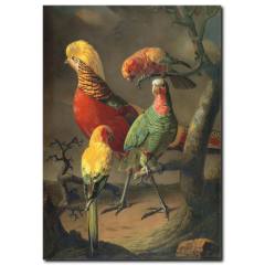 Renkli Papağanlar Yağlı Boya Tablo