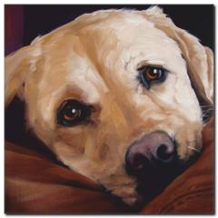 Güzel Köpek Yağlı Boya Tablo