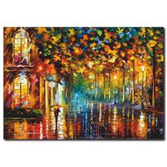 Çok Renkli Popüler Yağlı Boya Tablo