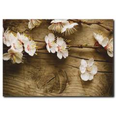 Ahşap Zeminde Bahar Dalları Kanvas Tablo