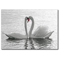 Gölde Kuğu Temalı Kanvas Tablo