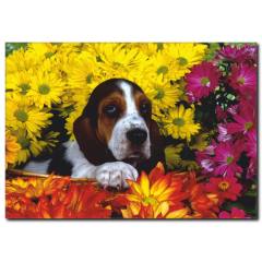 Çiçekler Arasında Köpek Temalı Kanvas Tablo