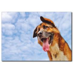 Köpek Temalı Kanvas Tablo