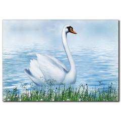 KuğuTemalı Kanvas Tablo