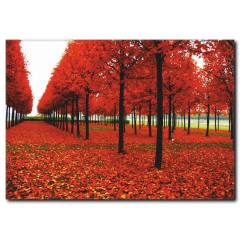 Kırmızı Yaprak ve Ağaçlar Temalı kanvas Tablo