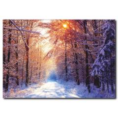 Karlı Yol Temalı Kanvas Tablo