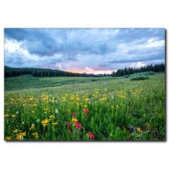 İlkbahar Manzaralı Kanvas Tablo