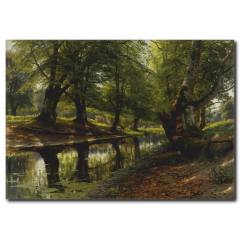 Orman Temalı Kanvas Tablo