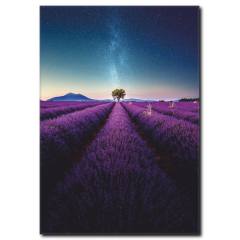 Lavanta Bahçesi Kanvas Tablo